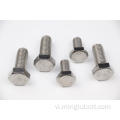 304 316A2 HEX đầu Bolt